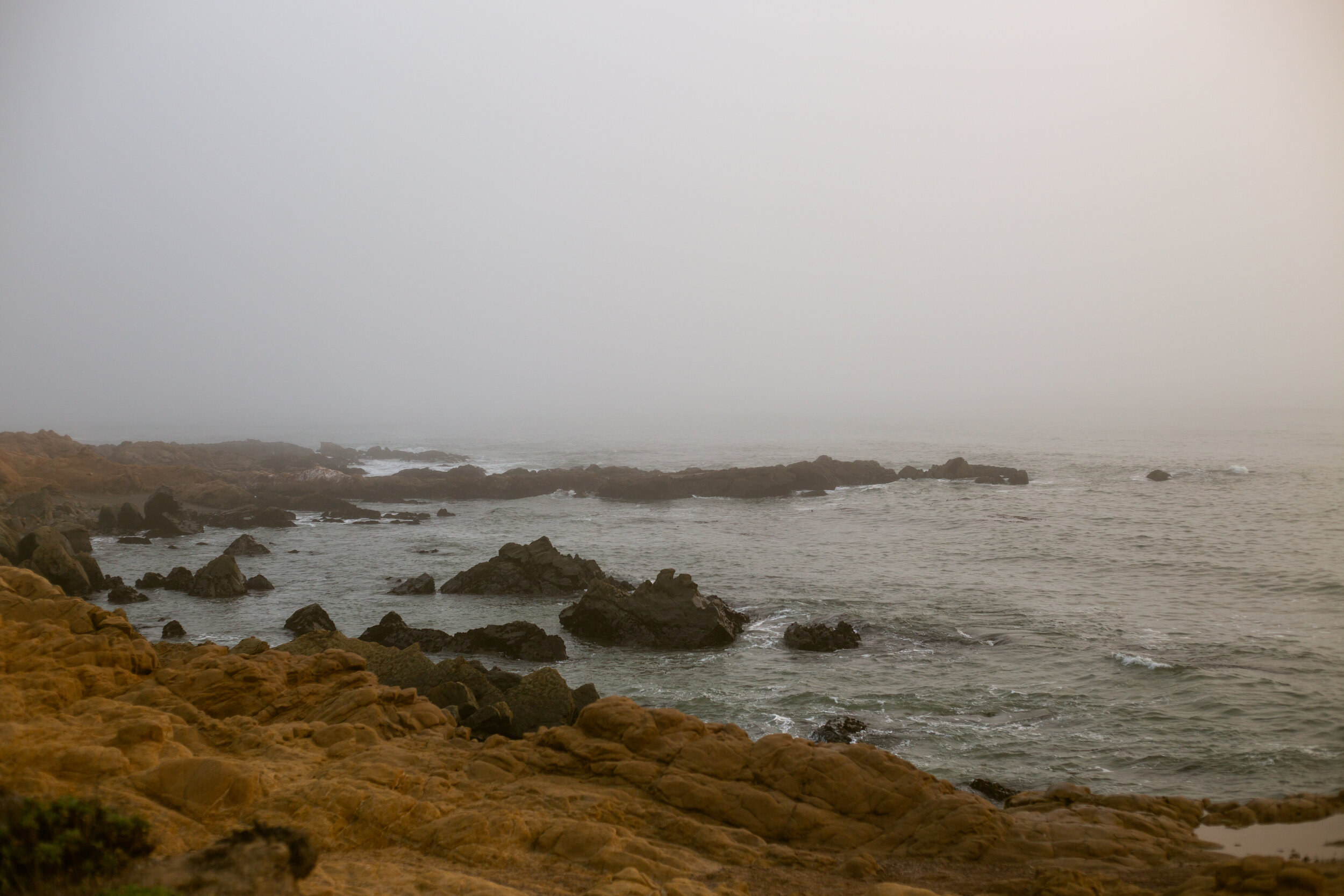 Foggy central coast